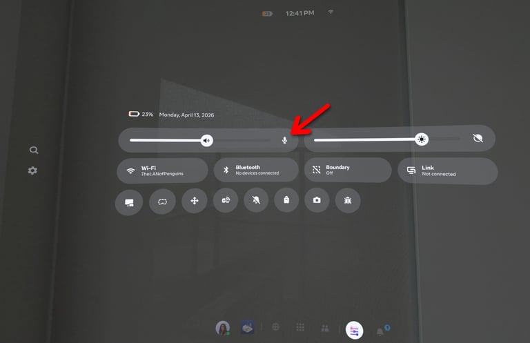 T_QuestSettings_MicPermission_NewUI